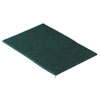 General Purpose Scouring Pad, 6 x 9, 10/Pack