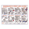 LabelMaster(R) Emergency First Aid Guide Poster