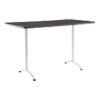ARC Sit-to-Stand Tables, Rectangular Top, 36w x 72d x 42h, Graphite/Silver