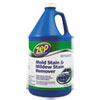 Zep Commercial(R) Mold Stain and Mildew Stain Remover