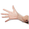 SemperGuard(R) FoodSafe Stretch Poly Gloves