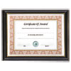 NuDell(TM) Gold Trim Deluxe Document Frame