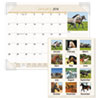 AT-A-GLANCE(R) Horses Monthly Desk Pad