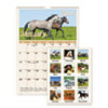 AT-A-GLANCE(R) Horses Monthly Wall Calendar
