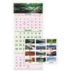 AT-A-GLANCE(R) Scenic Three-Month Wall Calendar