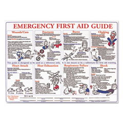 LabelMaster(R) Emergency First Aid Guide Poster