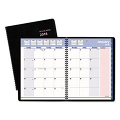 AT-A-GLANCE(R) QuickNotes(R) Special Edition Monthly Planner