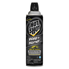 Diversey(TM) Hot Shot Wasp & Hornet Killer 3