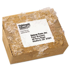 Avery(R) WeatherProof(TM) Durable Mailing Labels with TrueBlock(R) Technology