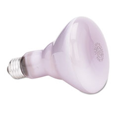GE Incandescent Reflector Light Bulb