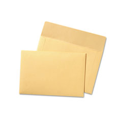 Quality Park(TM) Filing Envelopes