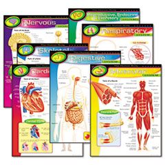 TREND(R) Learning Chart Combo Pack