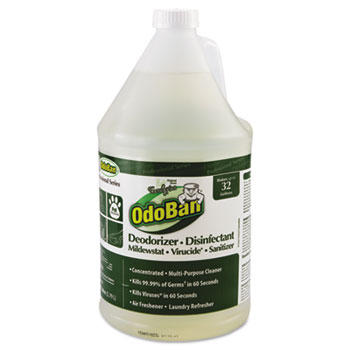 OdoBan&#174; Concentrated Odor Eliminator, Eucalyptus, 1gal Bottle, 4/Carton