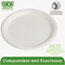 Eco-Products® Renewable & Compostable Sugarcane Plates - 10" , 50/PK, 10 PK/CT Thumbnail 3