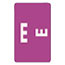 Smead Alpha-Z Color-Coded Second Letter Labels, Letter E, Purple, 100/Pack Thumbnail 1