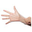 GEN SemperGuard FoodSafe Stretch Poly Gloves, Clear, X-Large, Polyethylene, 2000/Ctn Thumbnail 1